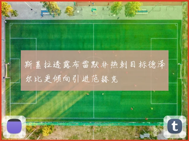 斯基拉透露布雷默非热刺目标德泽尔比更倾向引进范赫克