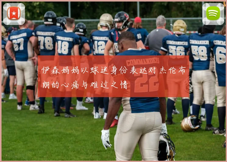 伊森妈妈以球迷身份表达对杰伦布朗的心痛与难过之情