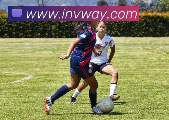 平台展示图